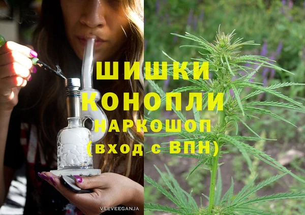 дживик Богородск