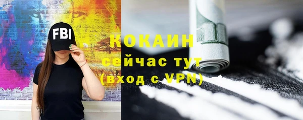 таблы Богородицк