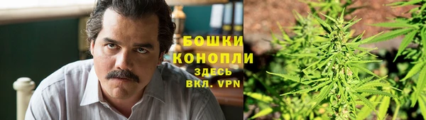 таблы Богородицк
