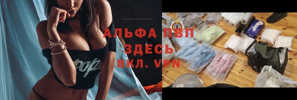 мяу мяу кристалл Богданович