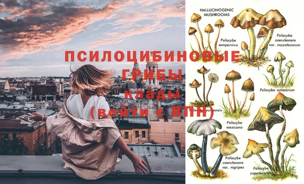 мяу мяу кристалл Богданович