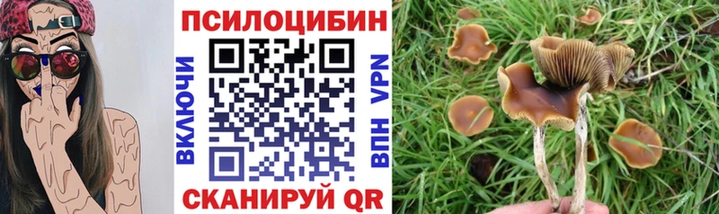 Псилоцибиновые грибы мухоморы  хочу наркоту  Берёзовка 